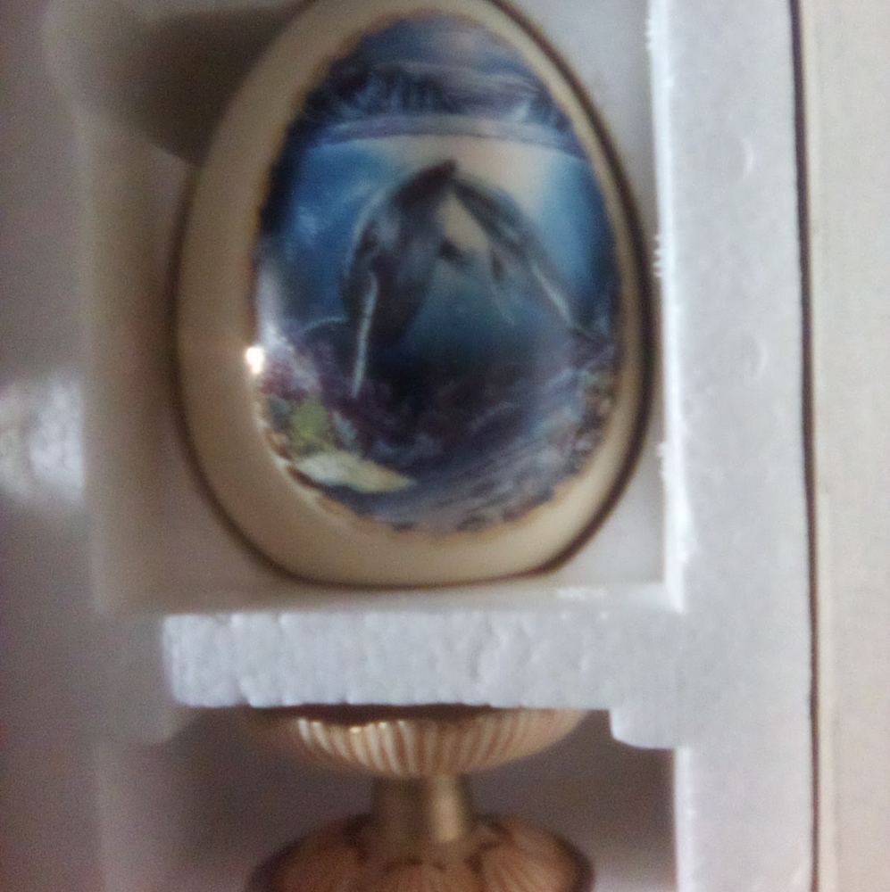 splendors of the sea